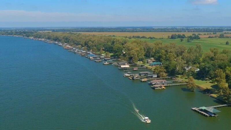 Horseshoe Lake in Arkansas