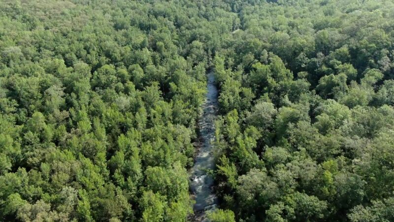 Ozark Mountains