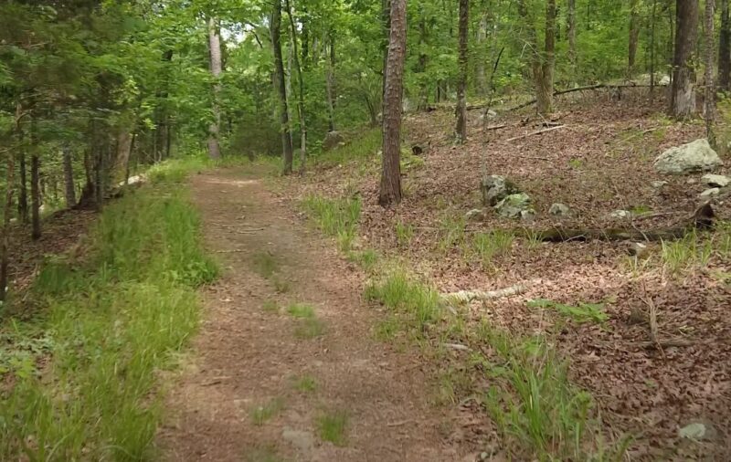 Best Hikes and Trails Pinnacle Mountain State Park Arboretum
